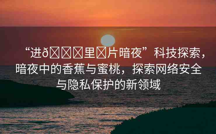 “進(jìn)??里?片暗夜”科技探索，暗夜中的香蕉與蜜桃，探索網(wǎng)絡(luò)安全與隱私保護(hù)的新領(lǐng)域