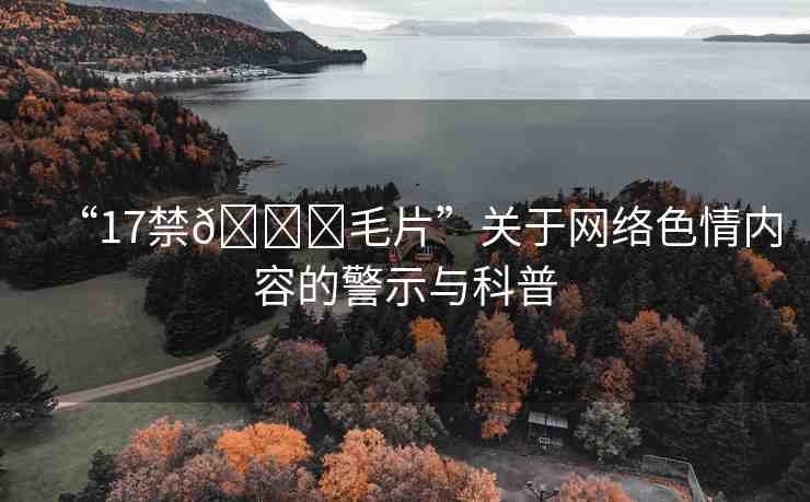 “17禁??毛片”關(guān)于網(wǎng)絡(luò)色情內(nèi)容的警示與科普