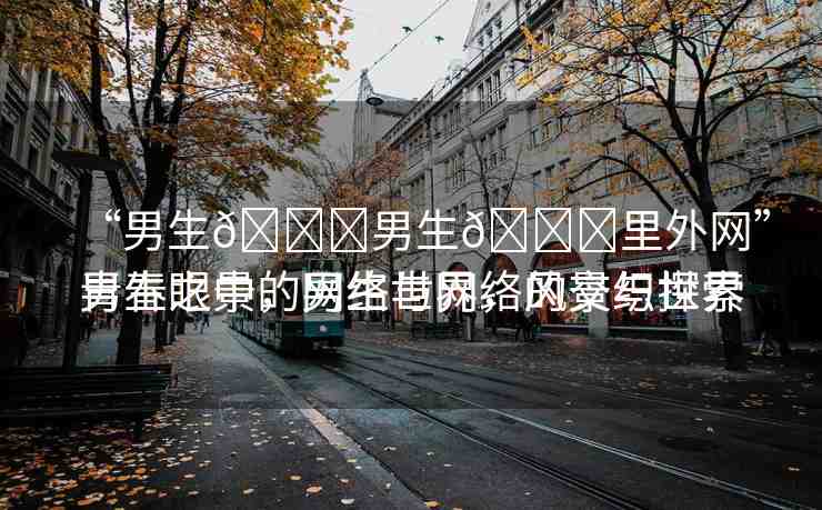 “男生??男生??里外網(wǎng)”青春之景，男生與網(wǎng)絡(luò)的交織世界
男生眼中的網(wǎng)絡(luò)世界，風(fēng)景與探索