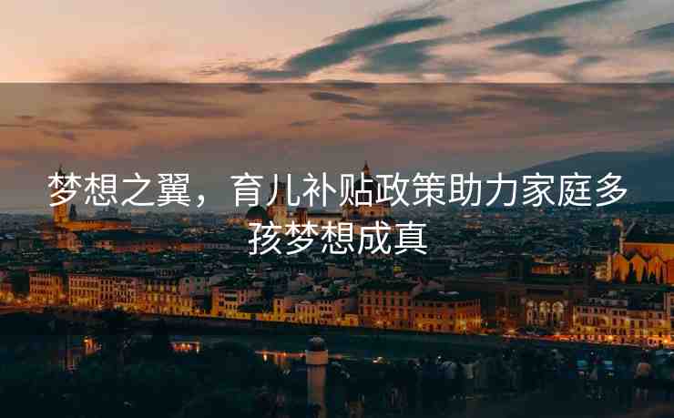夢想之翼，育兒補(bǔ)貼政策助力家庭多孩夢想成真